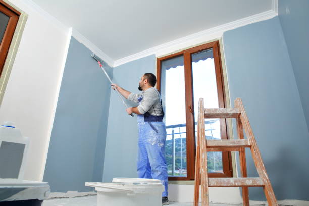 Best Drywall Sanding and Smoothing  in Topaz Ranch Estates, NV