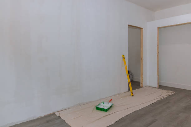 Reliable Topaz Ranch Estates, NV Painting & Drywall Installation Solutions